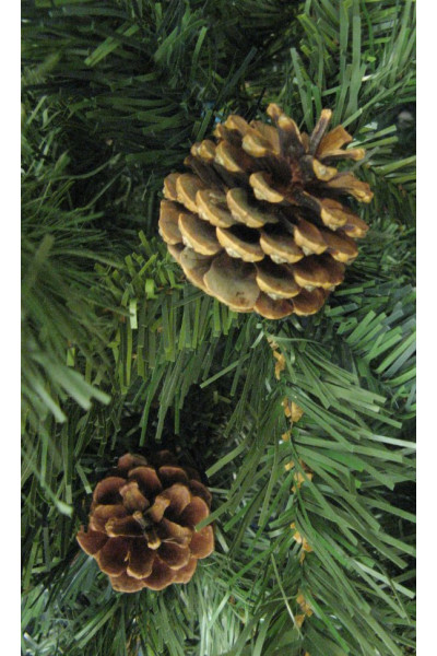Ель Royal Christmas Detroit с шишками 527210 (210 см)
