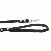 Поводок брезентовый Каскад 2 см, длина 2 м