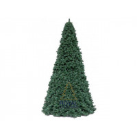 Ель высотная Royal Christmas Giant Trees (580 см)