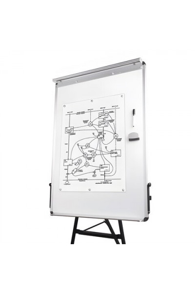 Доска флипчарт магнитно маркерная Brauberg 70х100 см на треноге 231720